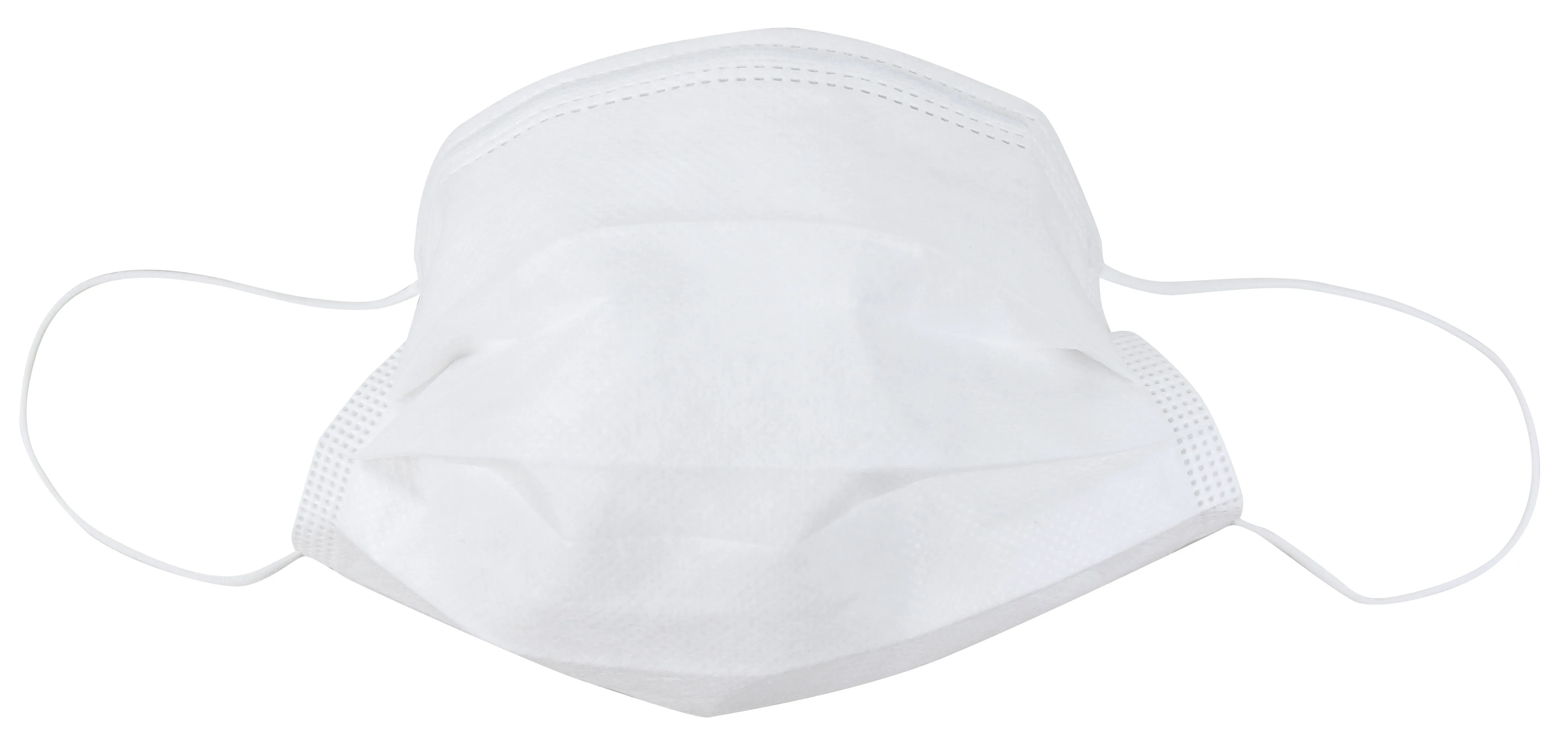 Disposable 3 Ply Face Mask in White, 10 PK (non-medical)