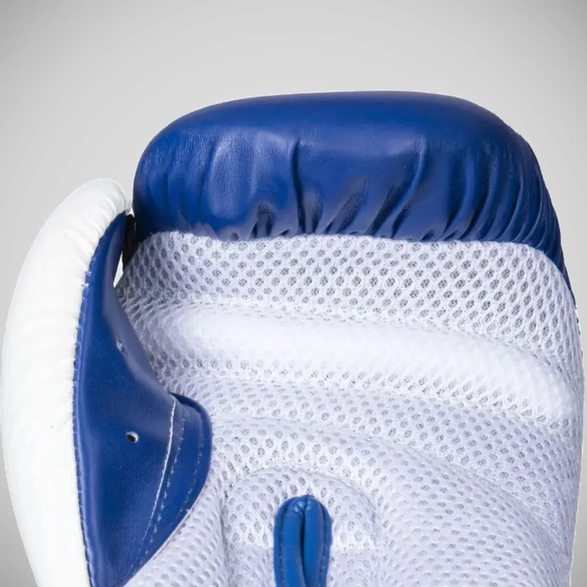 Top Ten NK3 Boxing Gloves Blue